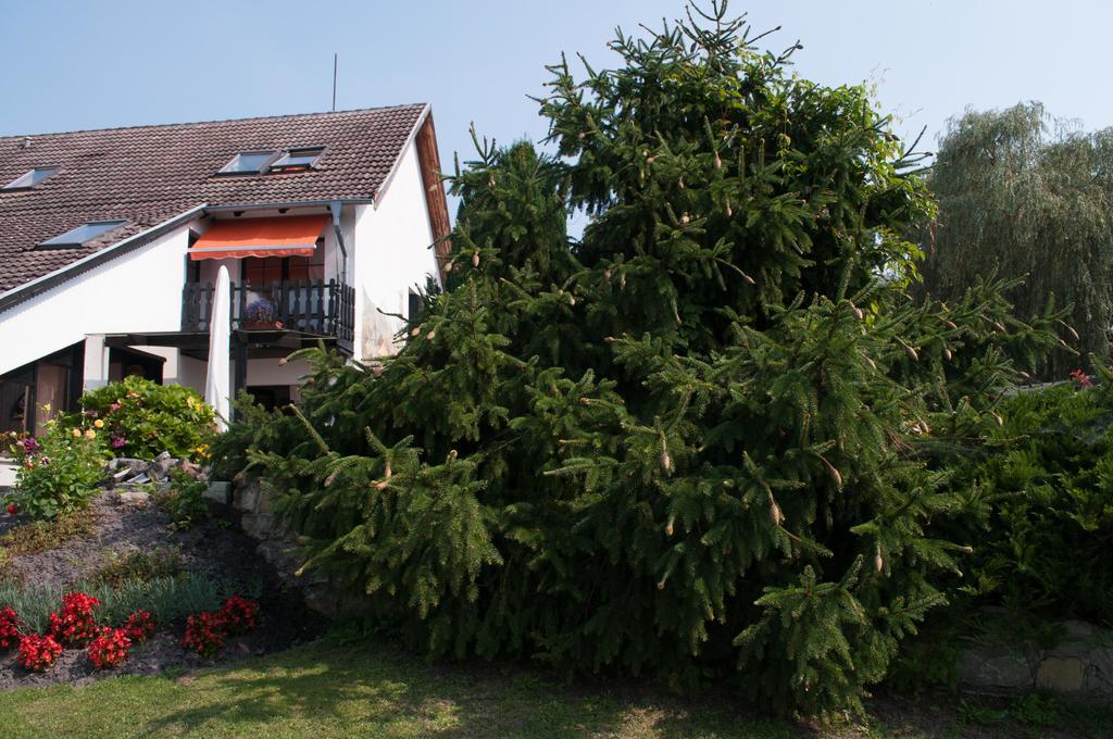 Apartment Edelweiss Egsdorf Exterior photo